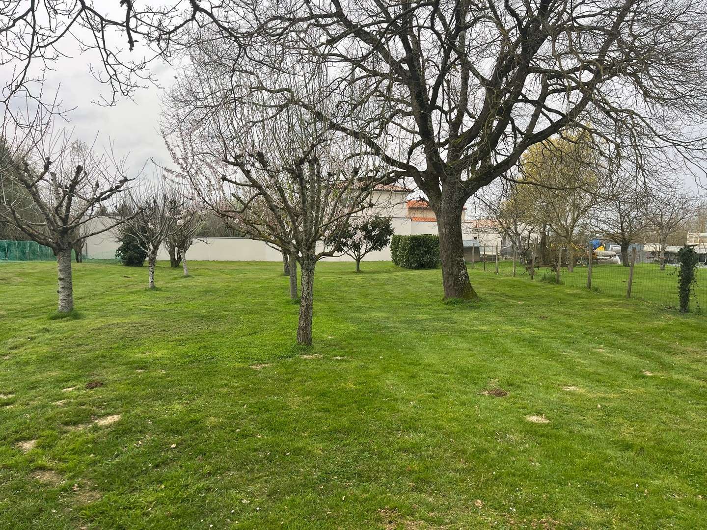 Projet de construction - Maison de 100 m² - Saint-Lys (31470)