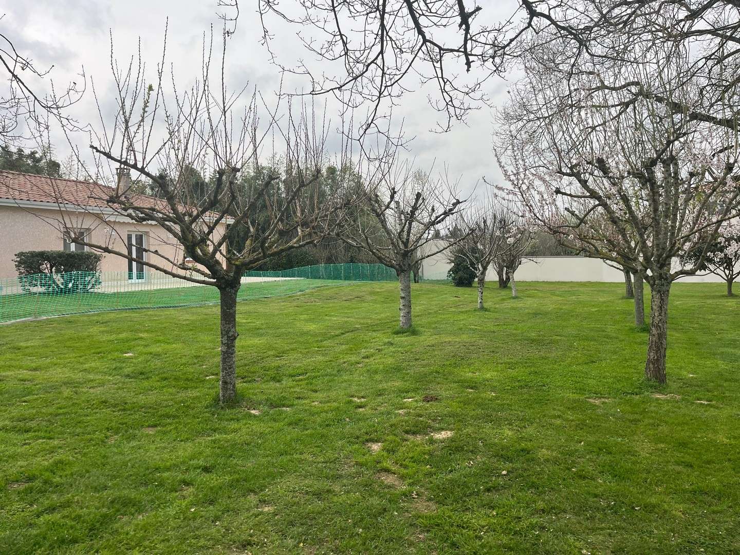 Projet de construction - Maison de 100 m² - Saint-Lys (31470)