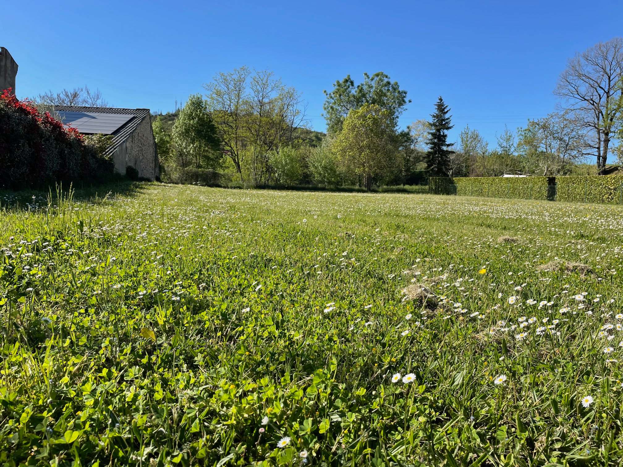 Projet de construction - Maison de 120 m² - Albi (81000)