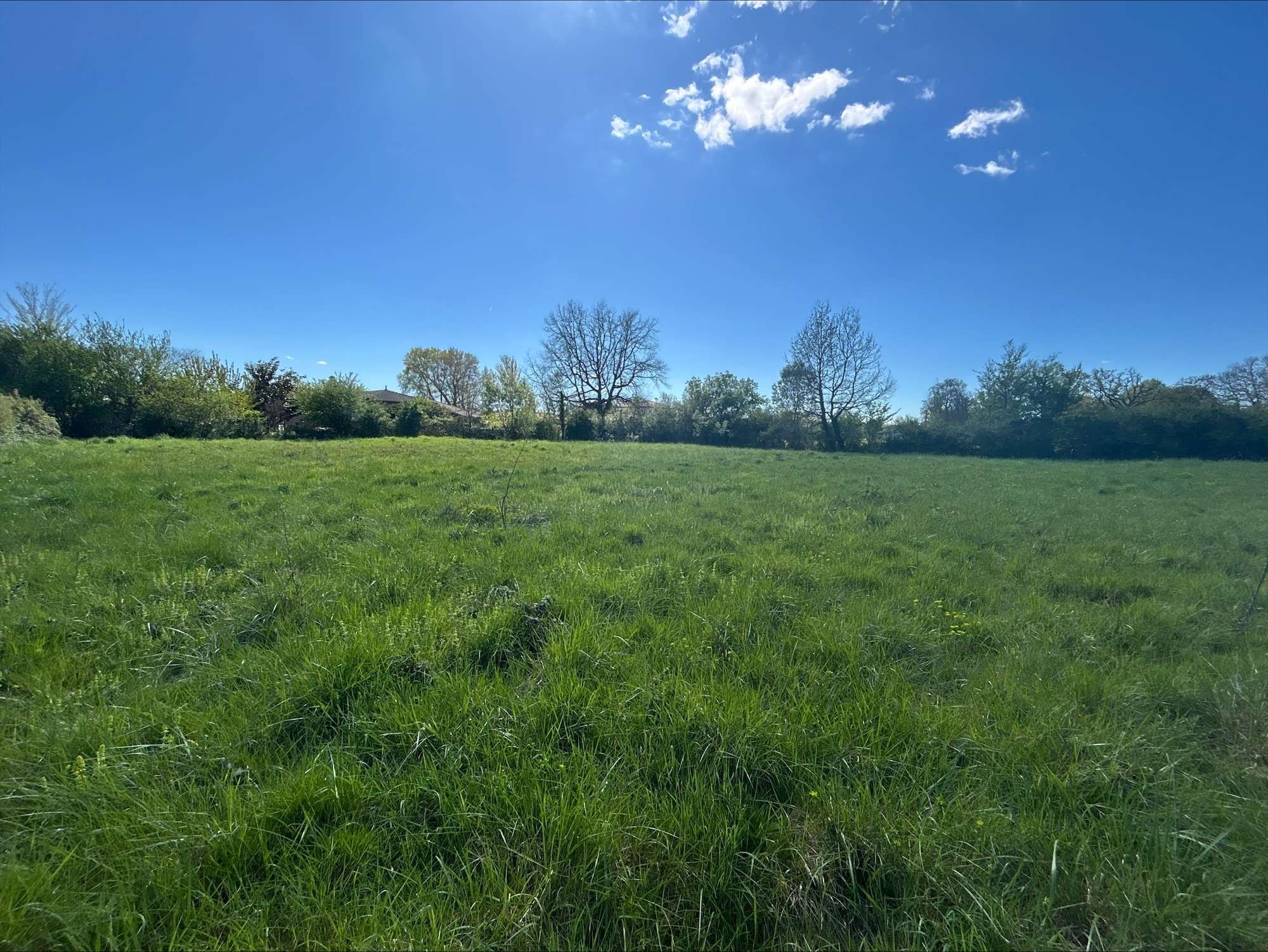 Projet de construction - Maison de 150 m² - Pujaudran (32600)