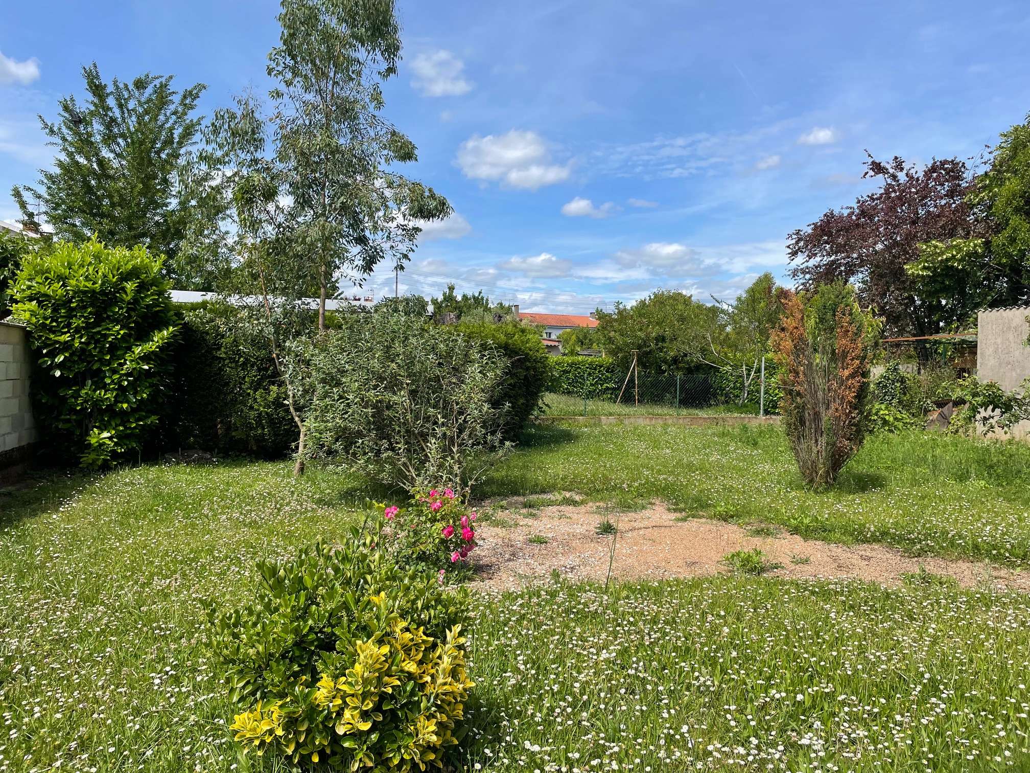 Terrain 370 m² - Albi (81000)