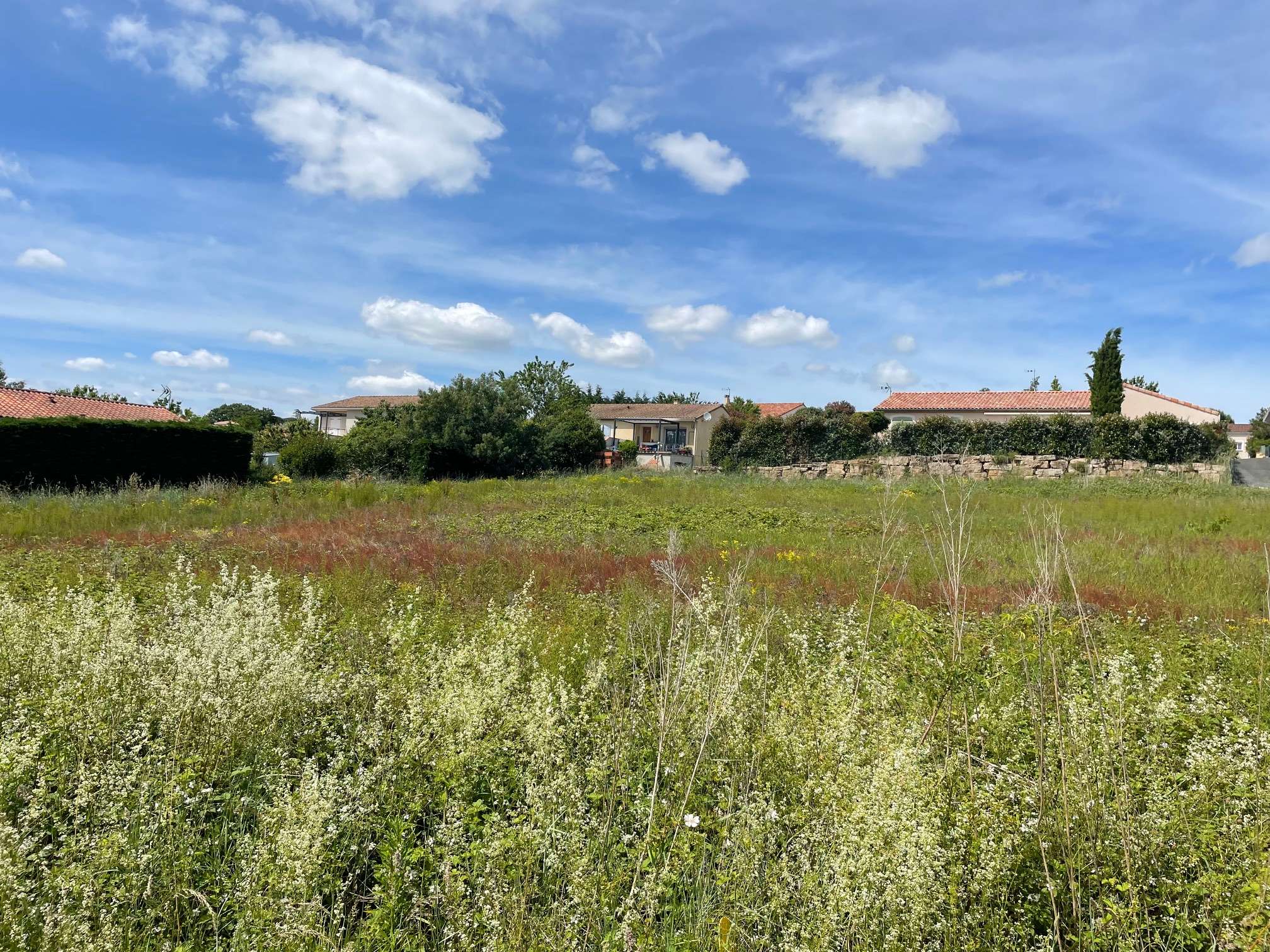Terrain 750 m² - Albi (81000)