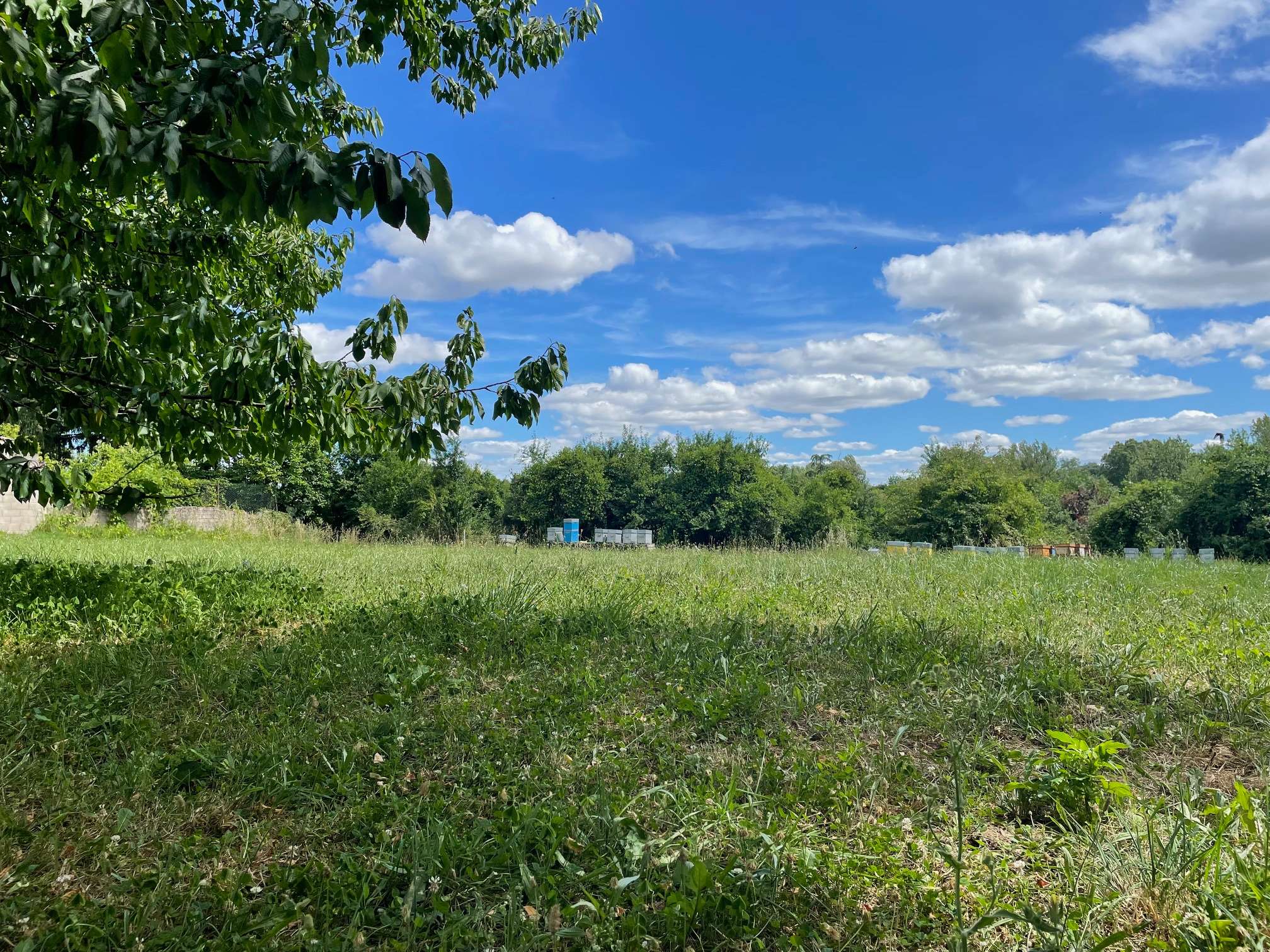 Terrain 1000 m² - Arthès (81160)