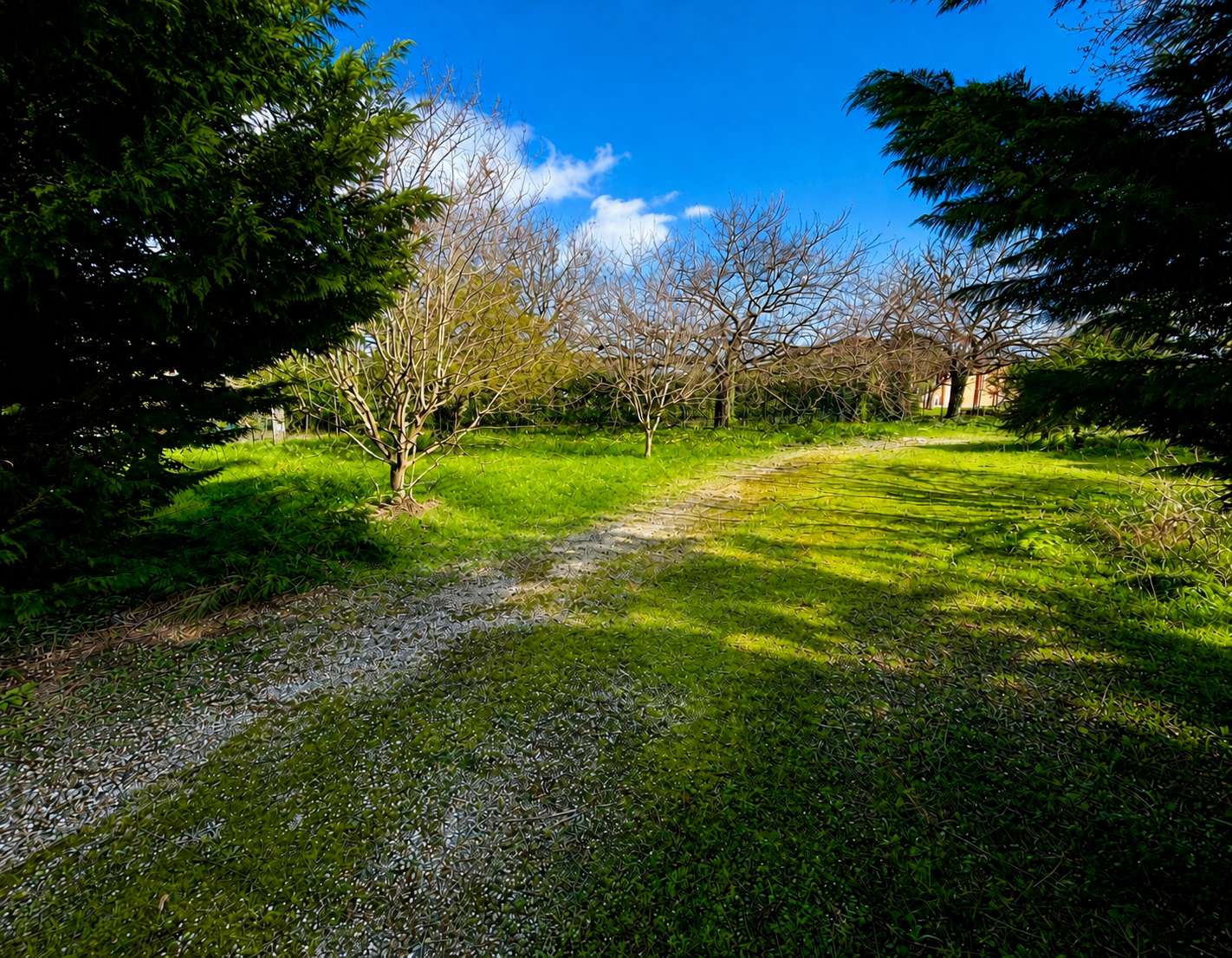 Terrain 1150 m² - Fronton (31620)