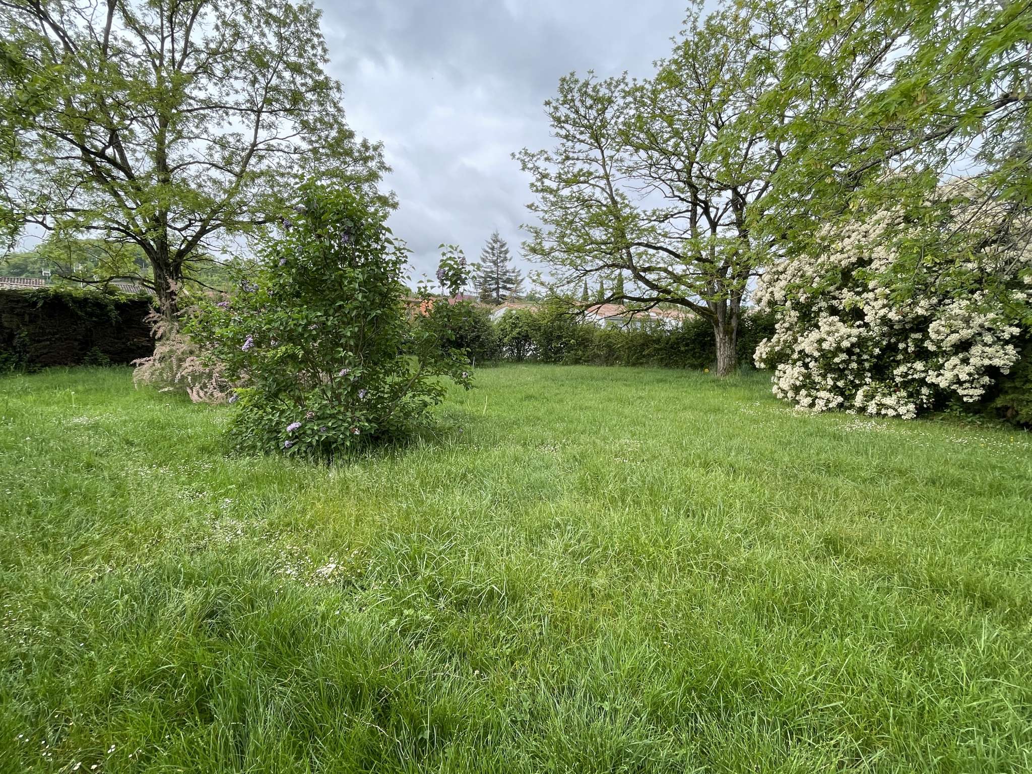 Terrain 710 m² - Albi (81000)