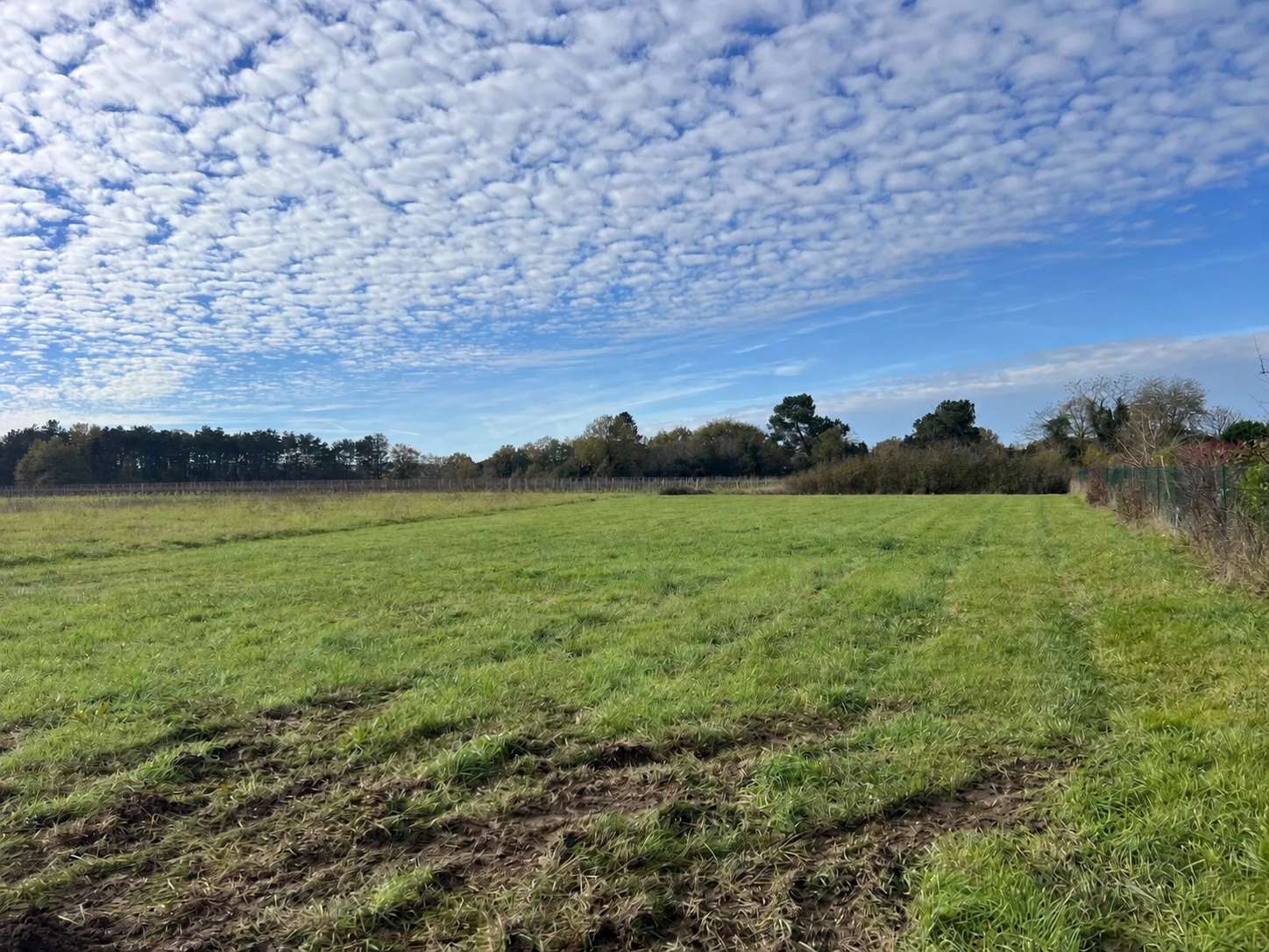 Terrain 1500 m² - Fronton (31620)