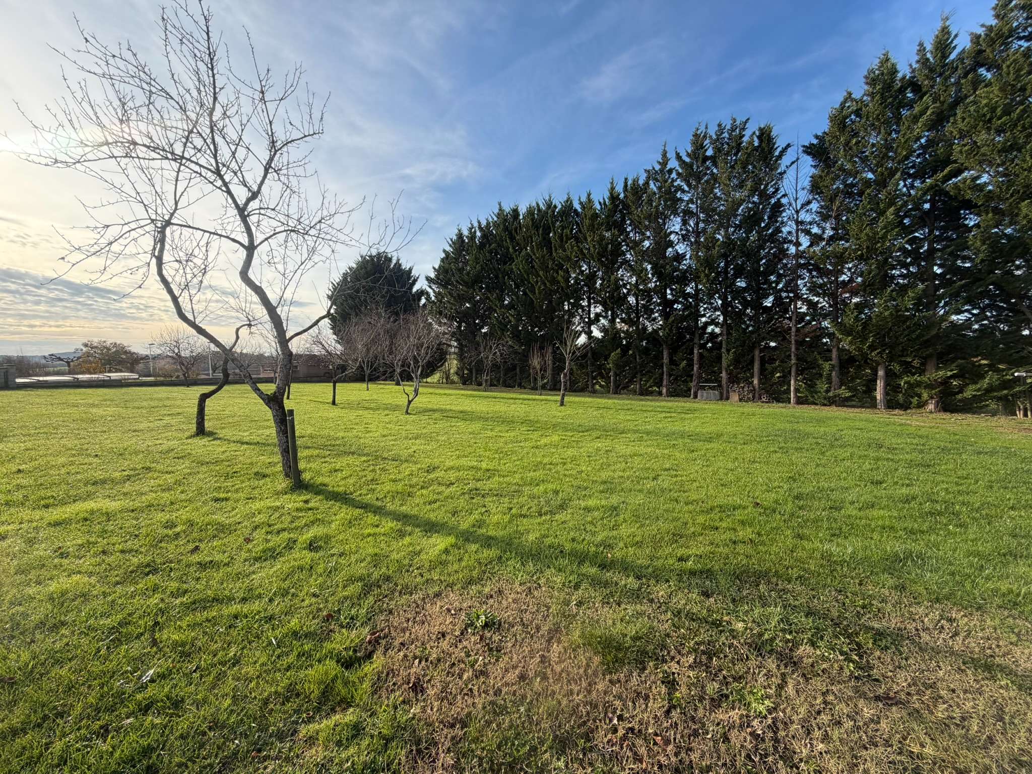 Projet de construction - Maison de 150 m² - Dénat (81120)