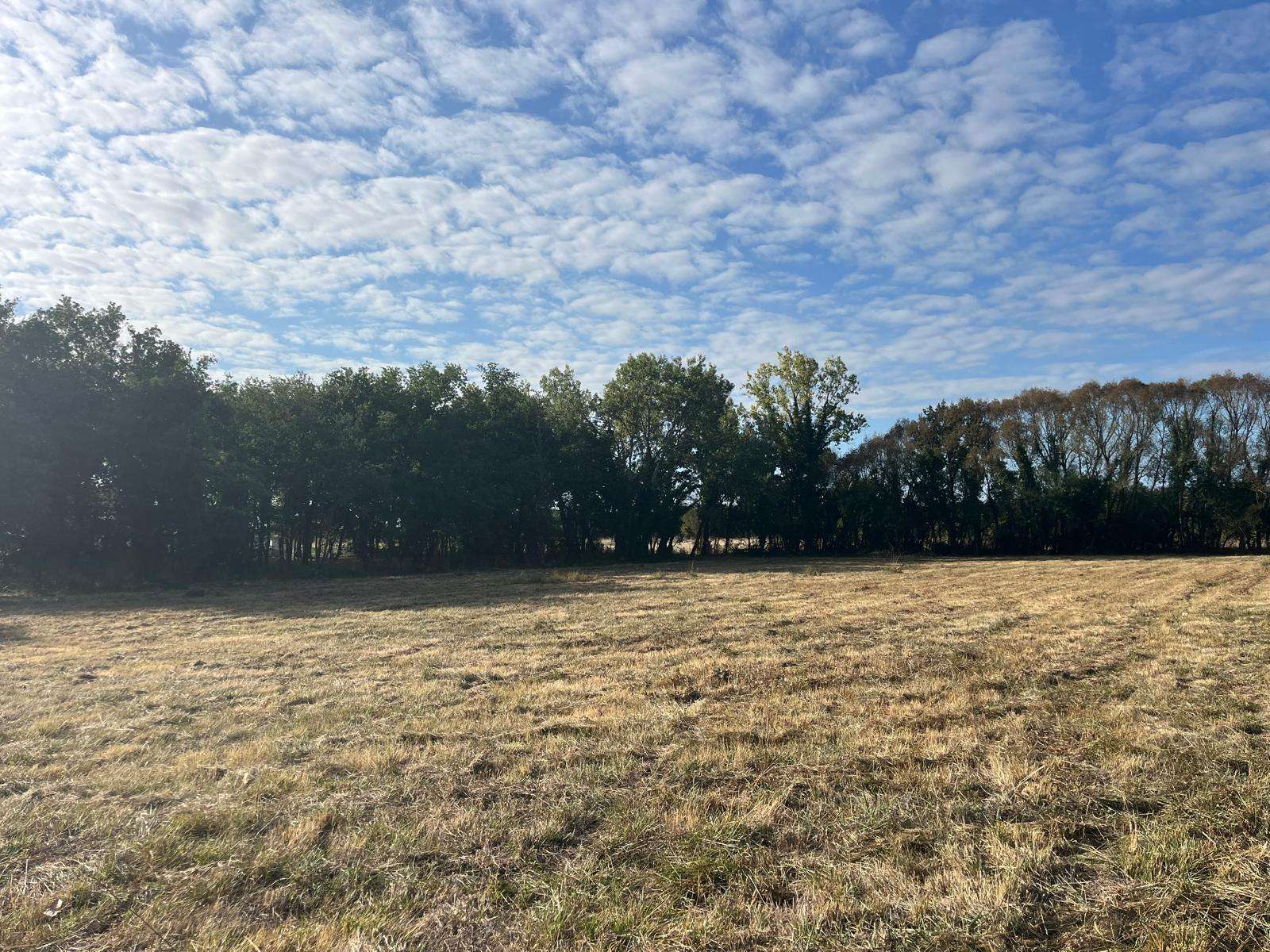 Projet de construction - Maison de 132 m² - Muret (31600)