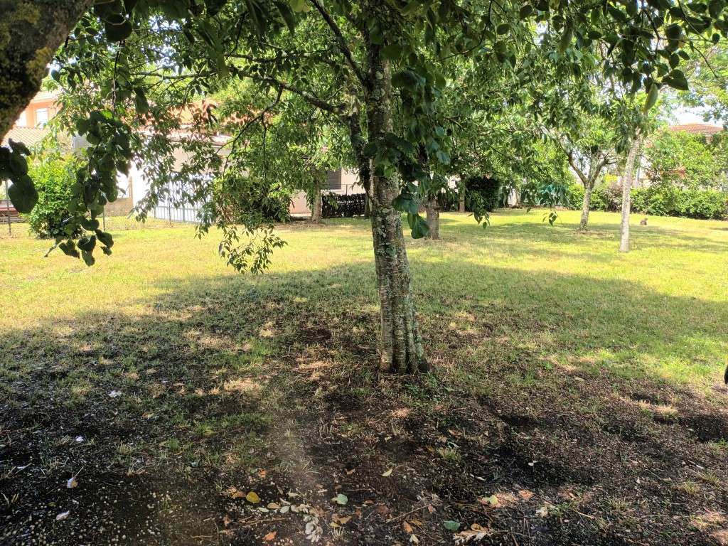 Terrain 700 m² - Tournefeuille (31170)