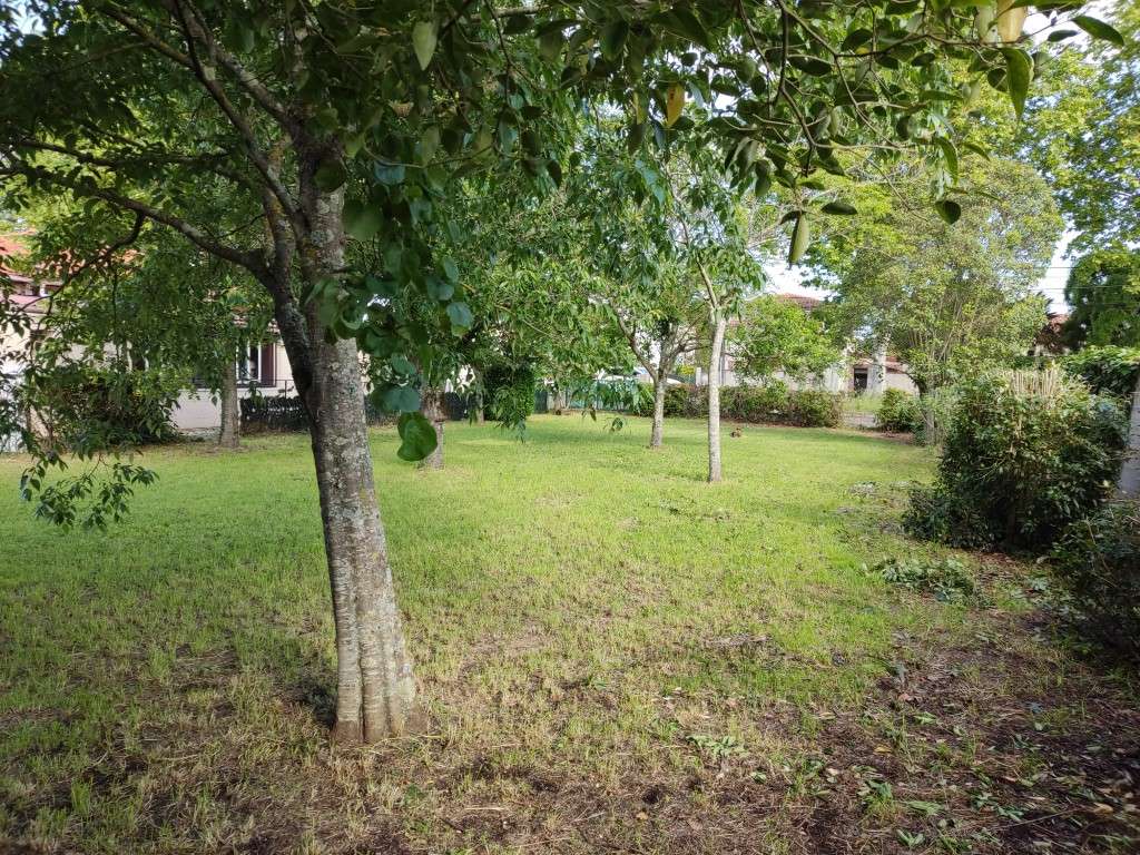 Terrain 700 m² - Tournefeuille (31170)